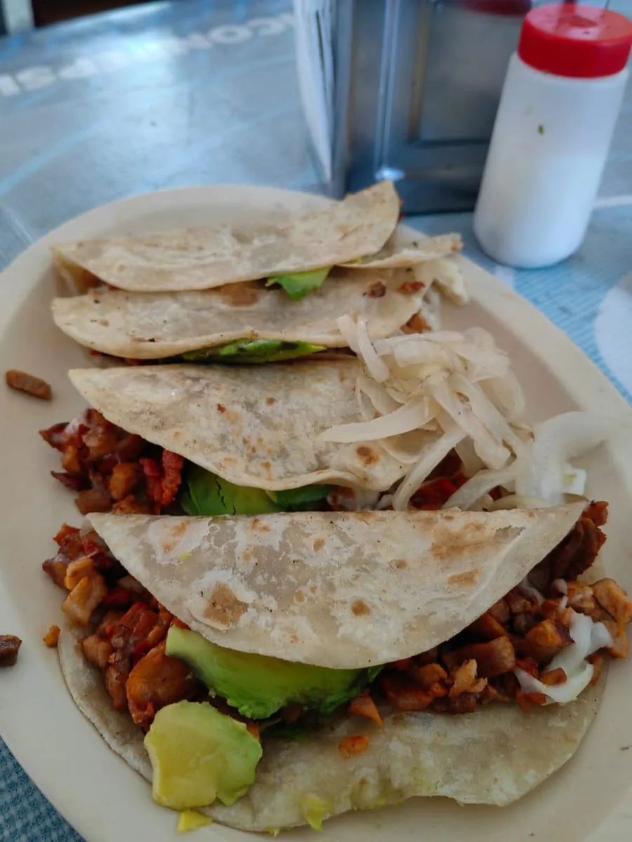 Piratas con aguacate